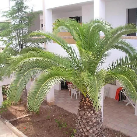 Gallo Club